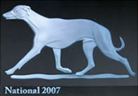 Whippet Show Awards