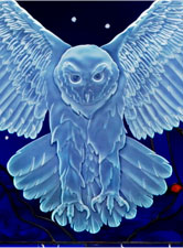Owl in the Night Sky