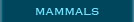 Mammals