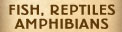 Fish,  Reptiles, Amphibians