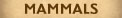 Mammals