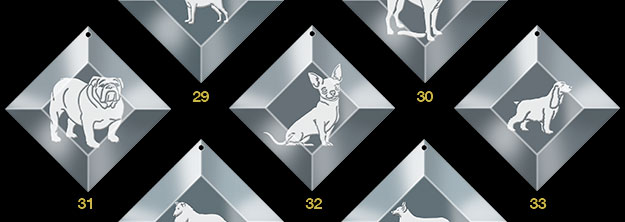 ornaments 7