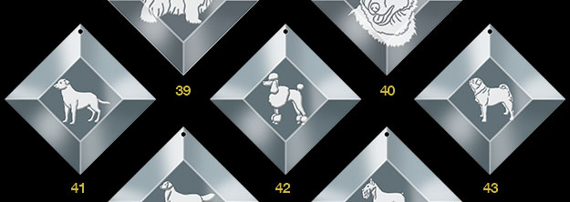 ornaments 9