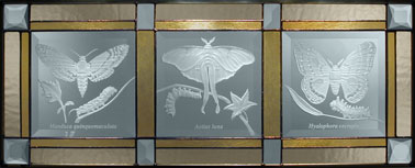 TRIPLE MOTHS