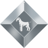 AIREDALE