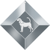 BLOODHOUND