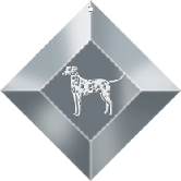 DALMATIAN