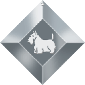 SCOTTISH TERRIER