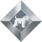 WHEATEN TERRIER