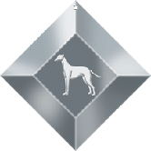 WHIPPET