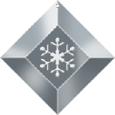 SNOWFLAKE ONE