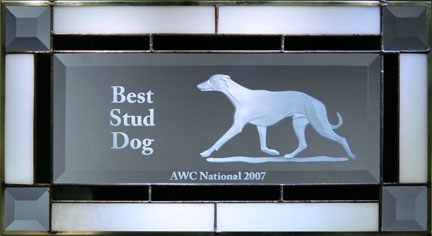 Best Stud Dog