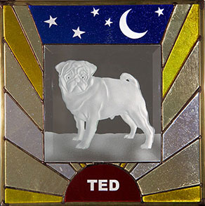 Ted