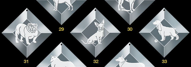 ornaments 7