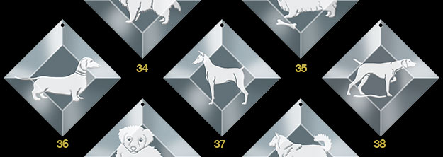 ornaments 8