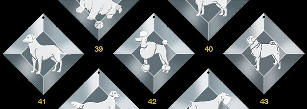 ornaments 9