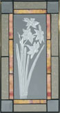 NARCISSUS