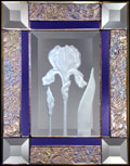 4x6 IRIS, HYBRID