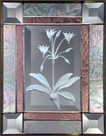 4x6 SHOOTING STAR
