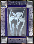 4x6 IRIS
