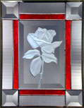 4x6 HYBRID TEA ROSE