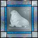 6x6 WALRUS