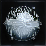 1/2 inch carved glass Waterlily with black background