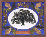 WHITE OAK/QUERCUS ALBA