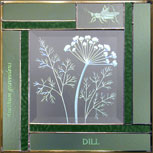 DILL