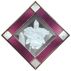 Cattleya