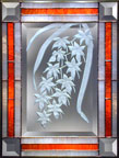 Aerangis leutea-alba