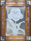 Paphiopedilum