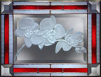 Phalaenopsis, standard white