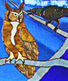 Crows and Owls Crows and Owls