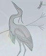 Heron Transom Heron Transom